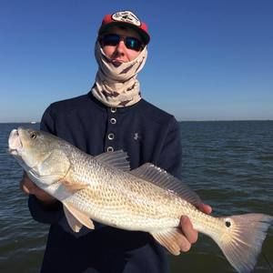 Meet your Posher, William